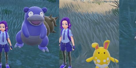 Shiny Hunting Chances + Method .